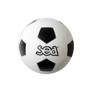 BALLON DE FOOTBALL INITIATION