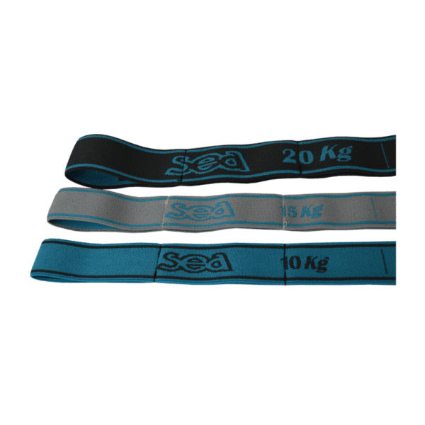 BANDE ÉLASTIQUE FITNESS FORCE 20 ANTHRA/TURQUOISE – Image 2