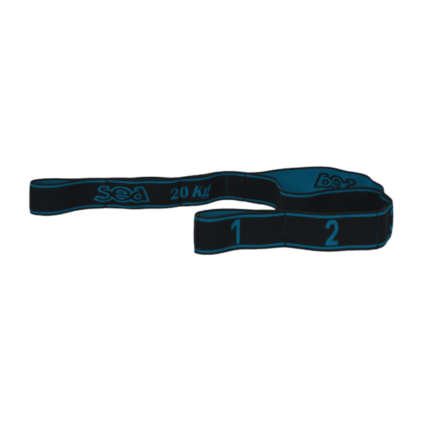 BANDE ÉLASTIQUE FITNESS FORCE 20 ANTHRA/TURQUOISE