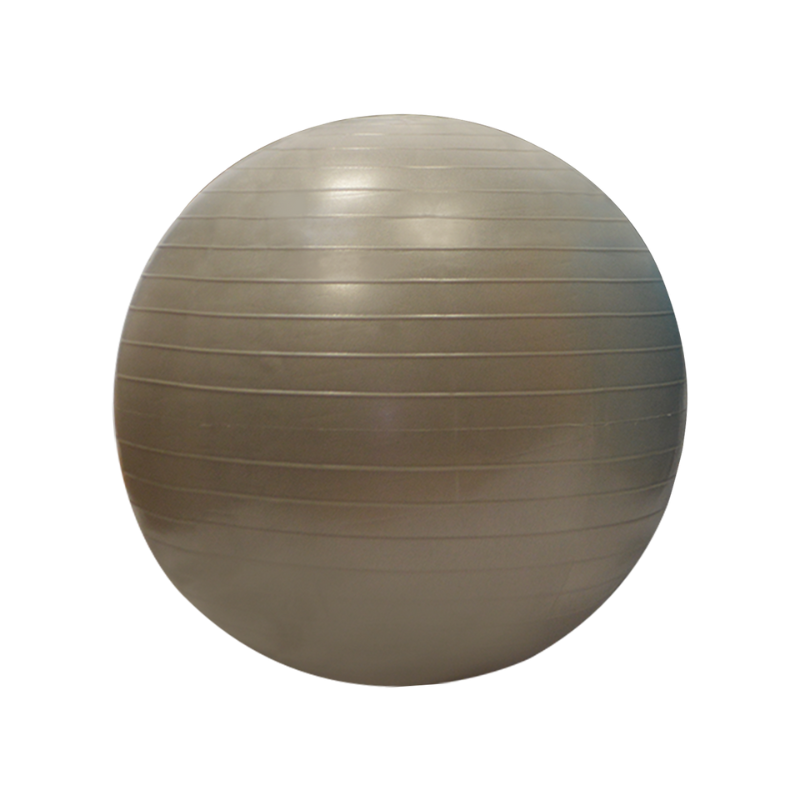 GYMBALL / BALLE GYMNIQUE 55CM