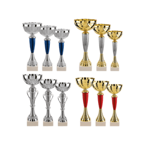 LOT DE 12 COUPES N°1