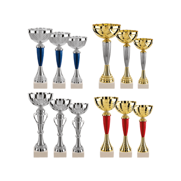 LOT DE 12 COUPES N°1
