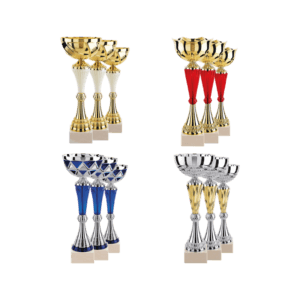 LOT DE 12 COUPES N°2