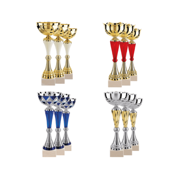 LOT DE 12 COUPES N°2
