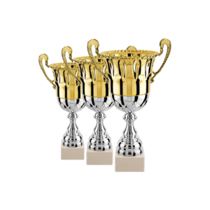 LOT DE 3 COUPES