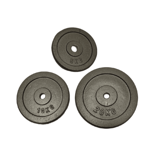 POIDS DISQUE EN FONTE 10 KGS