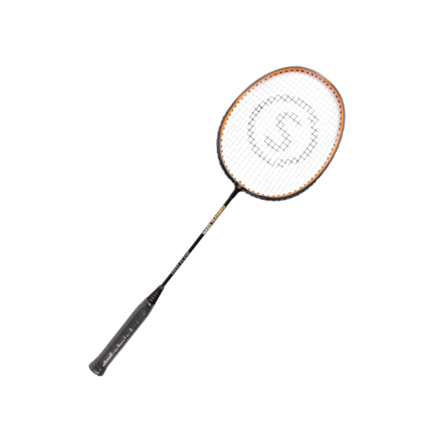 RAQUETTE BADMINTON ÉVOLUTIVE HARD TRAINING