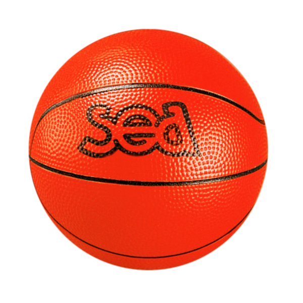BALLON DE BASKET DÉCOUVERTE
