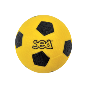 BALLON DE HANDBALL INITIATION