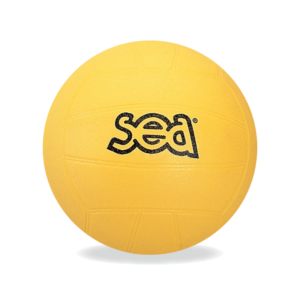 BALLON DE VOLLEY INITIATION