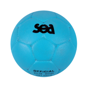 BALLON HANDBALL SCHOOL COMPOSITE - T.1