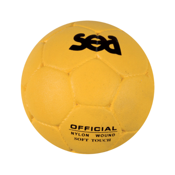BALLON HANDBALL SCHOOL COMPOSITE - T.2