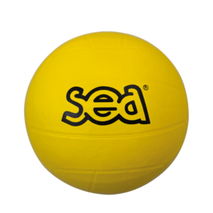 BALLON MULTISPORTS