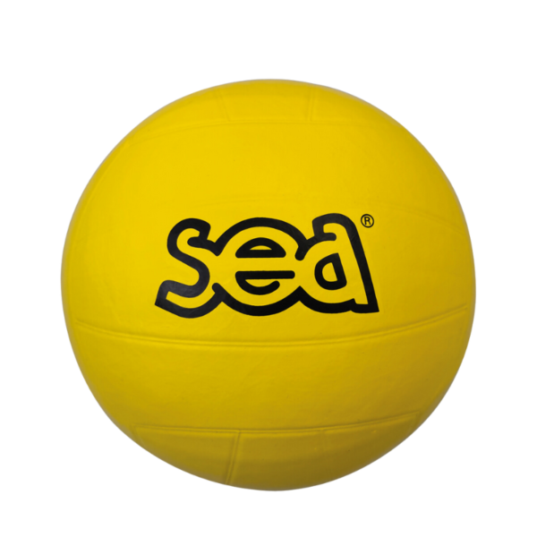BALLON MULTISPORTS
